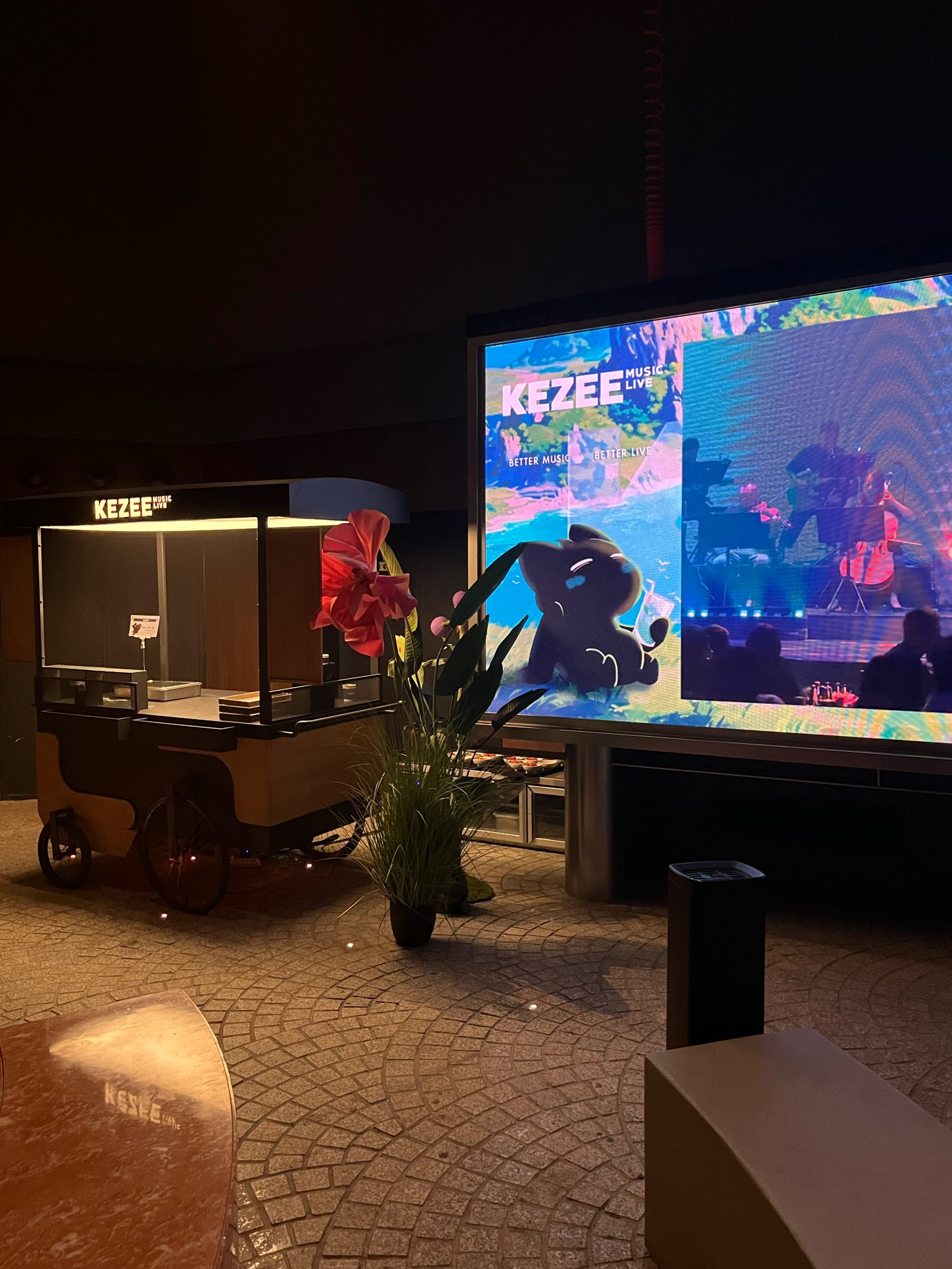 龙岩商务ktv是什么意思解析-漳平市ktv预订